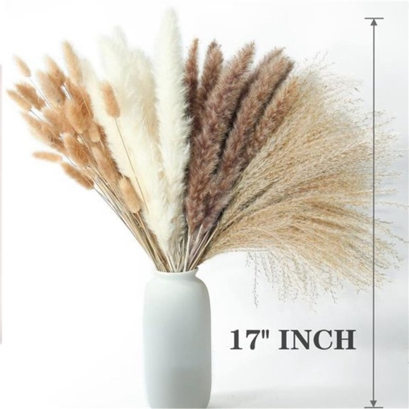 Dried Pampas Grass Decor, Pampas Grass Contains Bunny Tails Dried Flowers - Picture 3 of 9